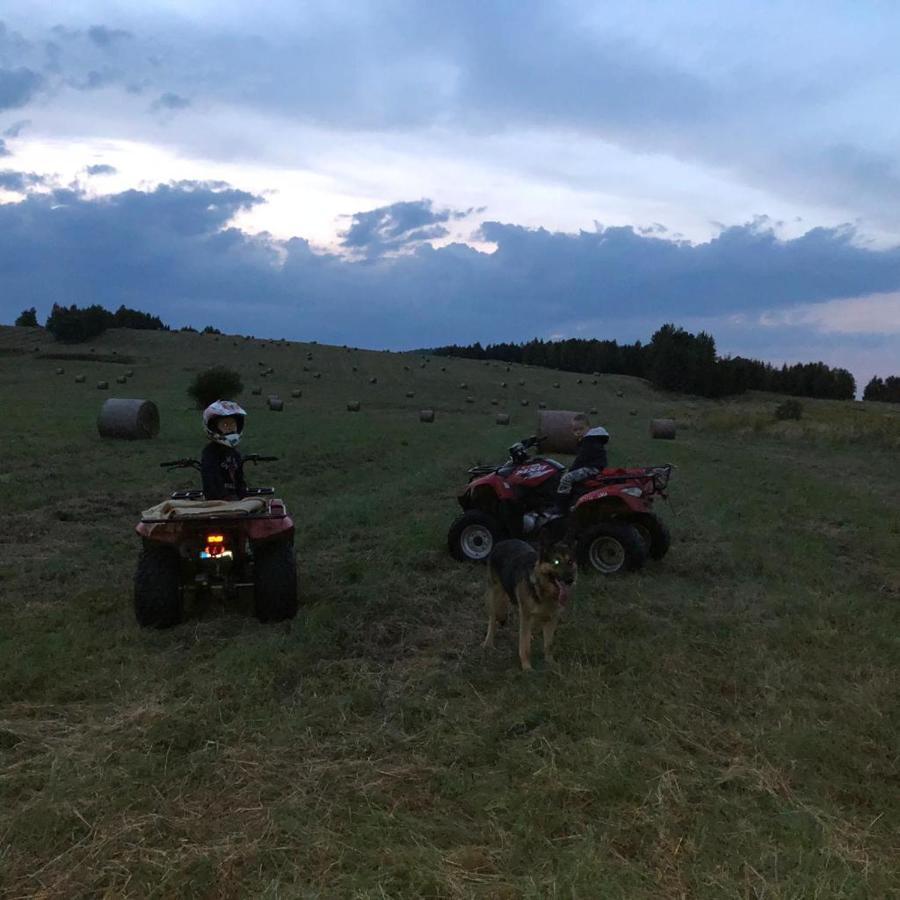 Restauracja I Noclegi Izba Rybacka W Krainie Wygaslych Wulkanow Podgorki Buitenkant foto